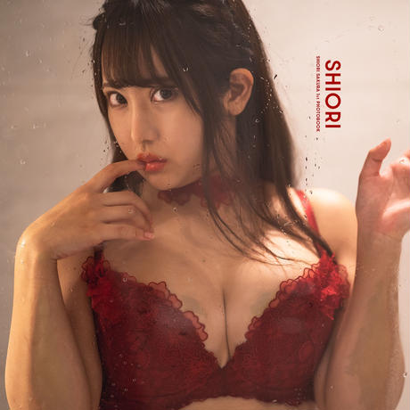 5dcff51fc6aeea2733c6cb3e