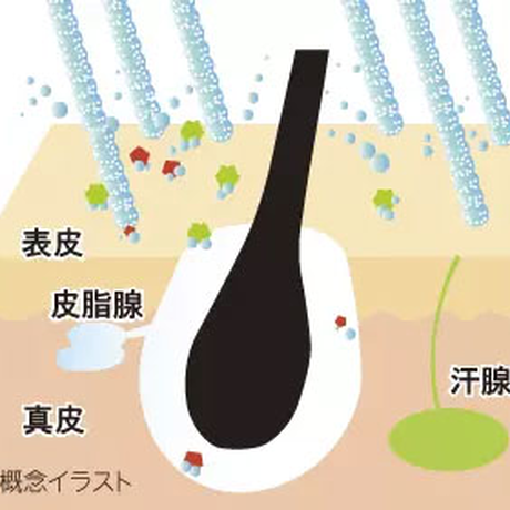 5c5800ac6870244722a95340