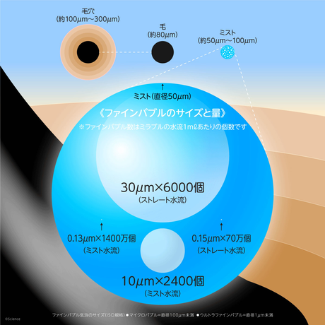 5c5800ac6870244722a95340