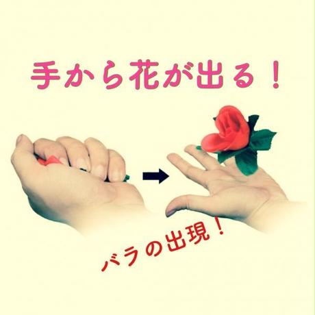 5b4582245496ff5b1f000010