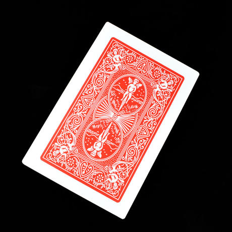 5d537dd48e691959ace80538