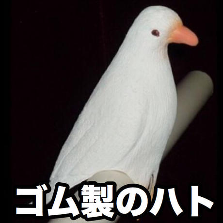 5c81c2bfa341d0695035a969