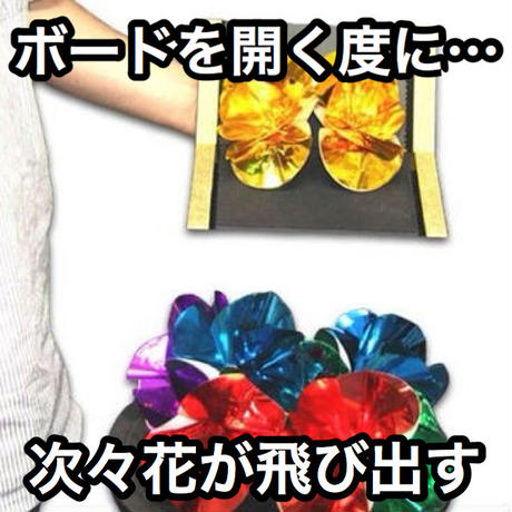 5c5a5548e73a25273b9b952b