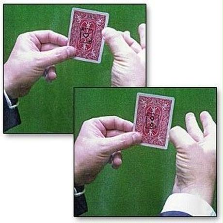 5d4b79dd4c806427f5950c15