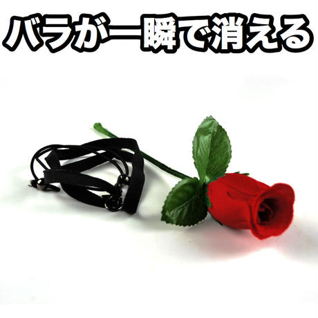 5b88c94c50bbc359c6000fc2