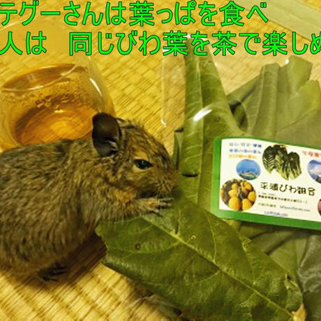564c1132bfe24cc61b004051
