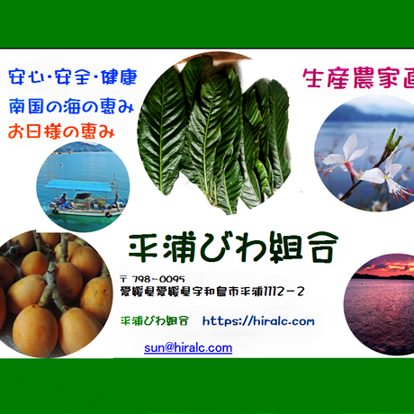 56c31558bfe24c4357001628