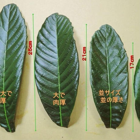 565d388f2b349216a40051ac