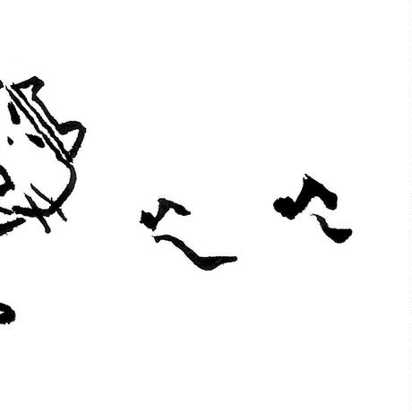 5c6e5bc43b63651af40c8041