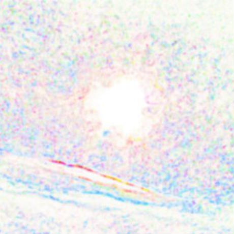 522832a162d7d55f69000210