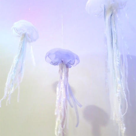 586b3c8641f8e835ce029fc9