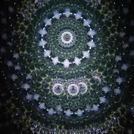 5e74409a2a9a42731ee10051
