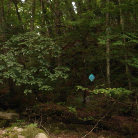5b402d0150bbc35ee500126a
