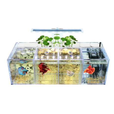 Led アクリル ベタ 水槽セット ４box 仕切り Usb ウォーターポンプ 魚 メダカ 金
