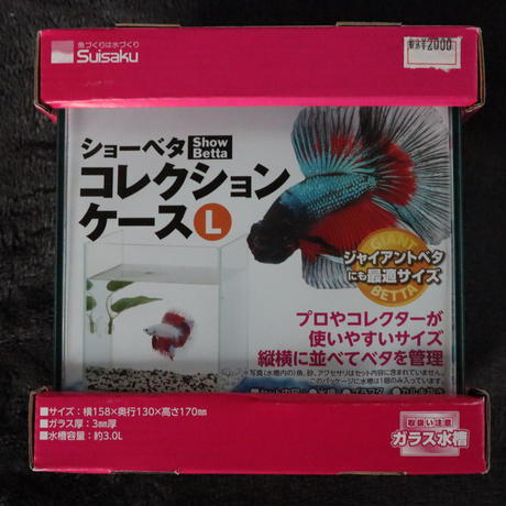 5bd92be85496ff3a4000027d