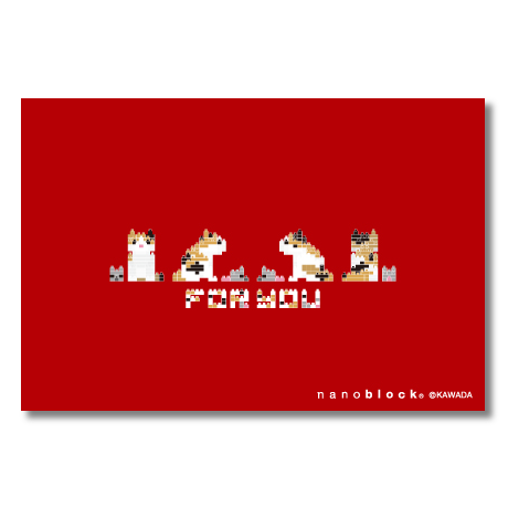5dc92cabb2f6fd30ff69c568