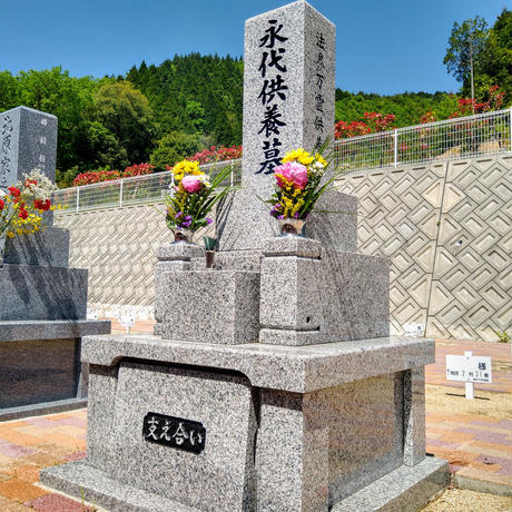 5ea3932255fa03792169fd68