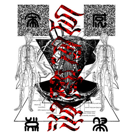 5d9beffdbc45ac1fbc1bbb87