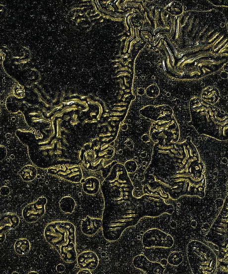 5dc26ca9637944332e6e07dc