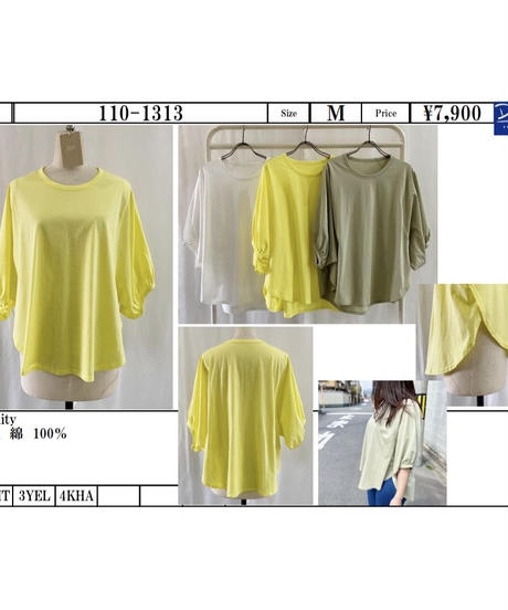 5ea43460bd217821cb06c8b6