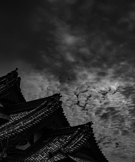 5dc63236b2f6fd3360c68e1e