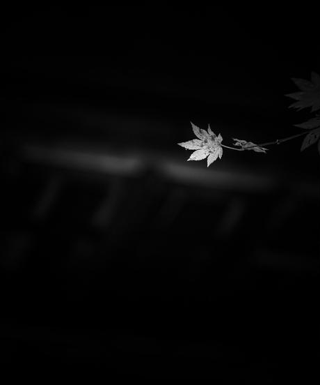 5d8dd6bc745e6c3fcee40ee0