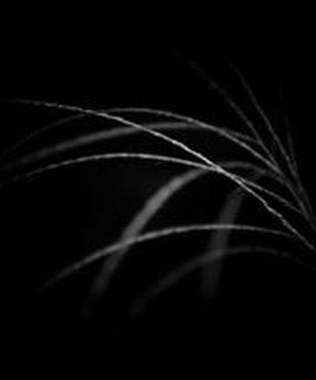 5eb3add755fa032182c20848