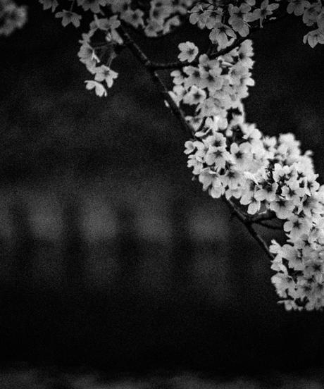 5de5d14053a2467c13f7642b