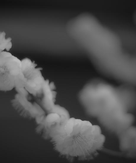 5e1d19ef5b120c1f38ce5159