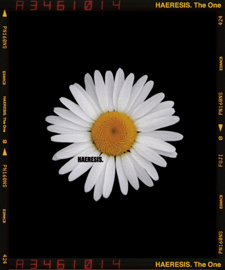 5daada53220e755b34380a0c