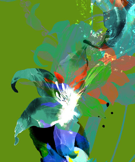 5f4232ea223ead1aa98fbed7