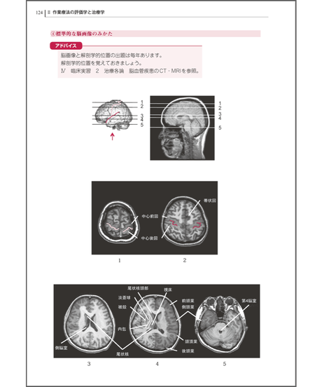 5cb52113adb2a16f83aebcd0