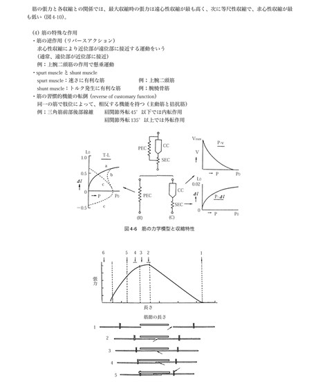5b90e471e8db4137f3000058