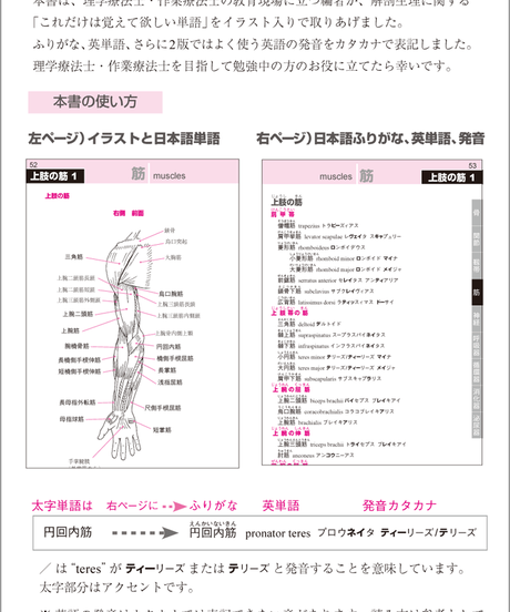 5b90e475e8db4137f300008d