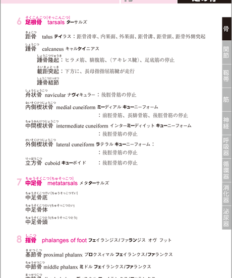 5b90e475e8db4137f300008d