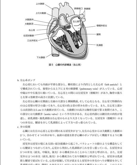 5b90e473e8db4137f3000073