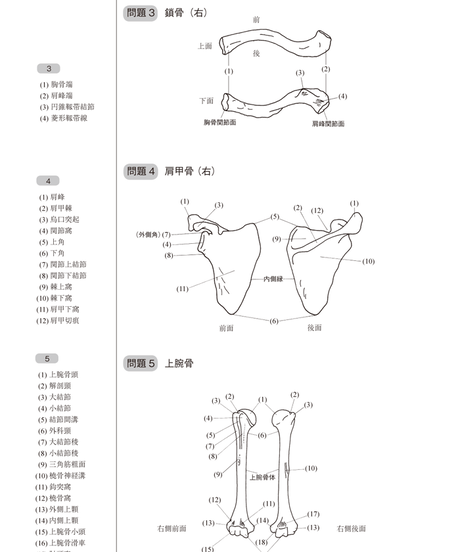 5b90e46ce8db4137f3000036