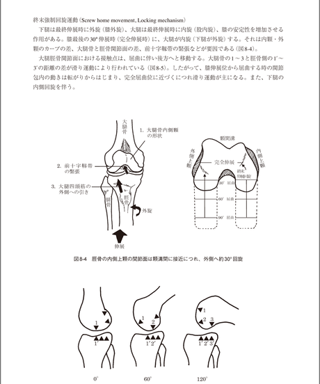 5b90e47fe8db4137f30000df