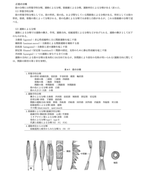 5b90e471e8db4137f3000058