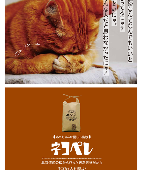 5d676376e4fc391a5ab75dd9