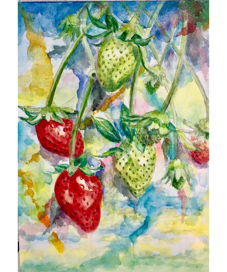 水彩画 苺 Strawberry Nuancebeans