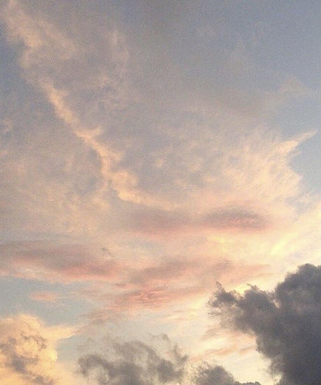 5d37f4a68e691928bf65855d