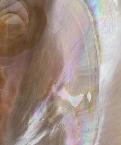5d37f4a68e691928bf65855d