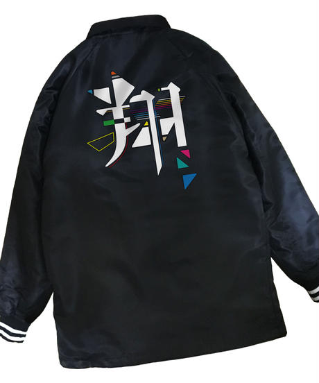 5e0ae8916899fd3b2ec0701a