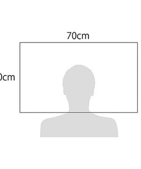 5ac87409ef843f1c99001fc7