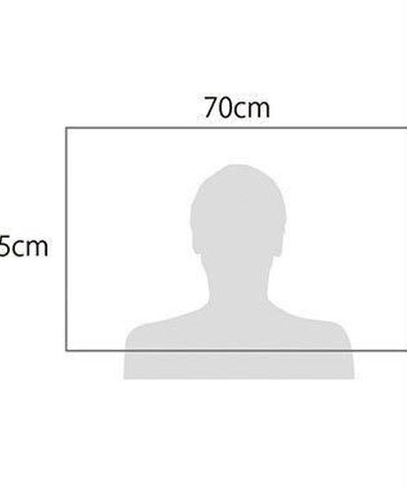 5ac861c35496ff79a8001033