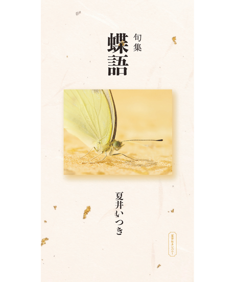 5f344acfd7e1d87a41788d63