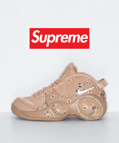 【送料込/最安値】新品・2022新作 NIKE AIR ZOOM FLIGHT 95 SP "Supreme®"