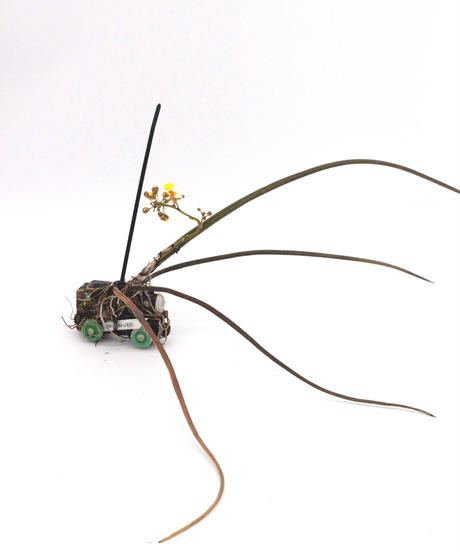 5ec3ecbf34ef0149230f37fc