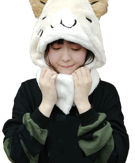 5e1ed87668d1633dc5fb1c15